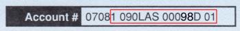 image example showing numbers to use from account statement